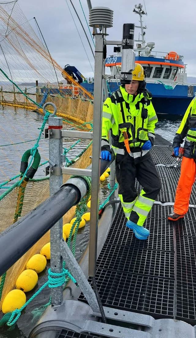 Sea sensor